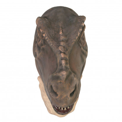 Toscano - Grand-Scale Tyrannosaurus Rex Dinosaur Wall Trophy
