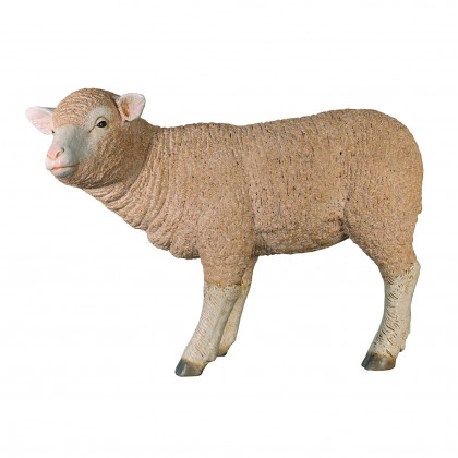 Toscano - Merino Ewe Lamb Statue
