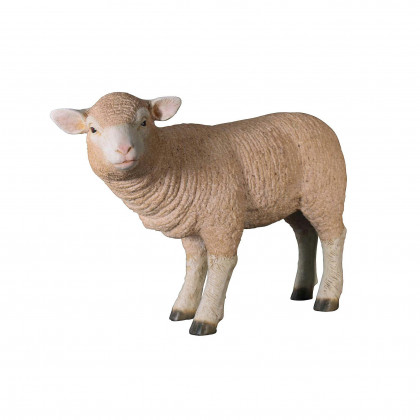 Toscano Merino Ewe Life-Size Lamb Statue - Standing