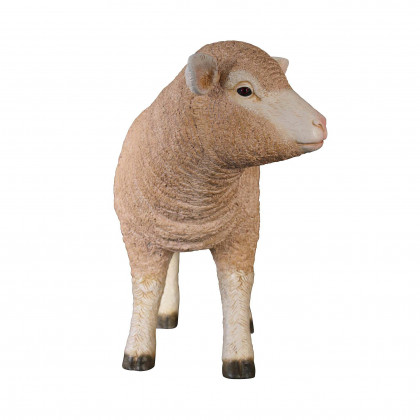 Toscano Merino Ewe Life-Size Lamb Statue - Standing