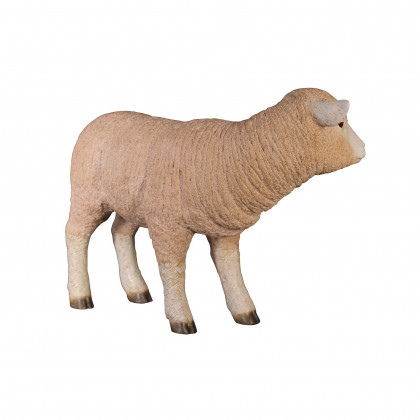 Toscano Merino Ewe Life-Size Lamb Statue - Standing