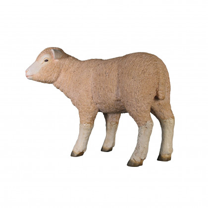 Toscano Merino Ewe Life-Size Lamb Statue - Standing