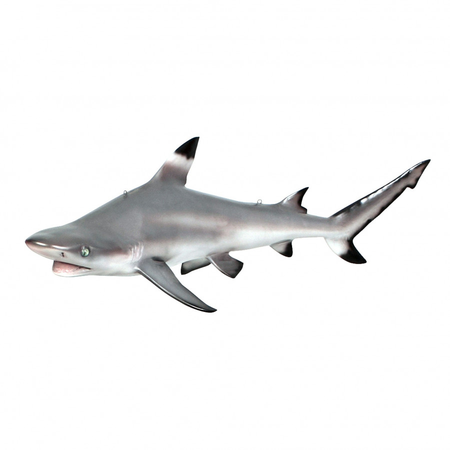 Toscano - Blacktip Shark Ceiling Mount Trophy Sculpture