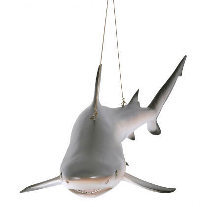 Toscano - Blacktip Shark Ceiling Mount Trophy Sculpture