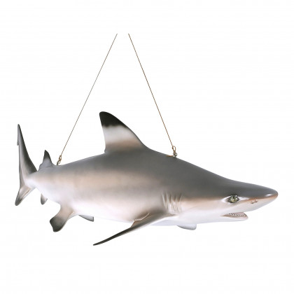 Toscano - Blacktip Shark Ceiling Mount Trophy Sculpture