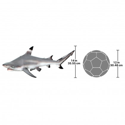 Toscano - Blacktip Shark Ceiling Mount Trophy Sculpture