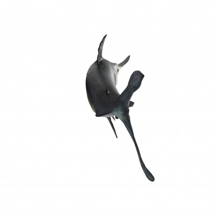 Toscano - Swordfish Wall Mount Trophy Sculpture