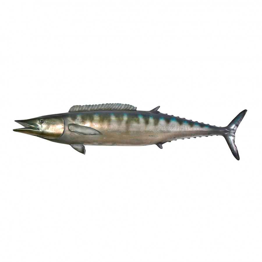 Toscano - Wahoo Wall Mount Fish Trophy Sculpture