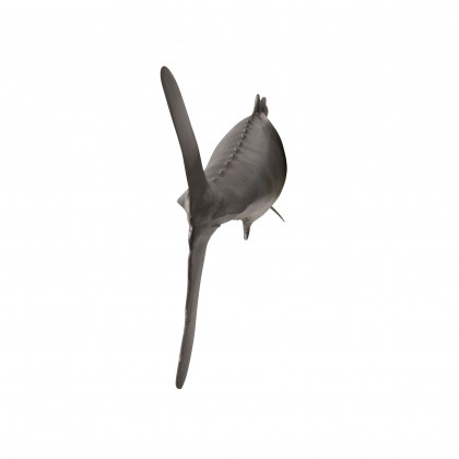 Toscano - Wahoo Wall Mount Fish Trophy Sculpture