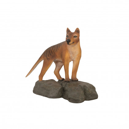 Toscano - Mysterious Tasmanian Tiger Statue