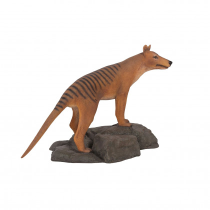 Toscano - Mysterious Tasmanian Tiger Statue