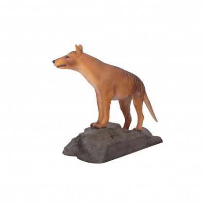 Toscano - Mysterious Tasmanian Tiger Statue