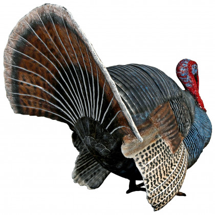 Toscano - Wild Tom Turkey Grand Scale Animal Statue