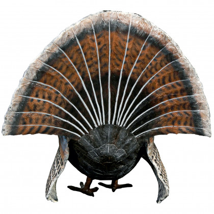 Toscano - Wild Tom Turkey Grand Scale Animal Statue