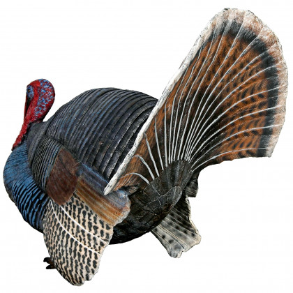 Toscano - Wild Tom Turkey Grand Scale Animal Statue