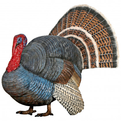 Toscano - Wild Tom Turkey Grand Scale Animal Statue