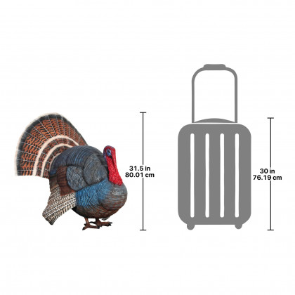 Toscano - Wild Tom Turkey Grand Scale Animal Statue