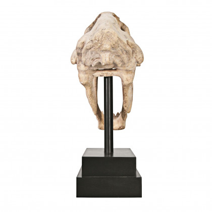 Toscano - Saber-Toothed Tiger Skull Artifact