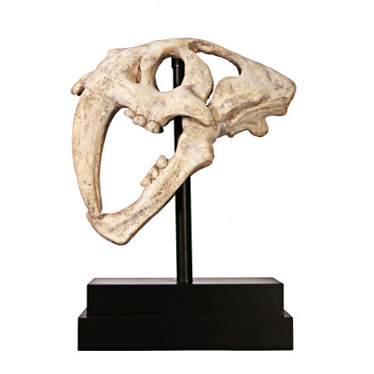 Toscano - Saber-Toothed Tiger Skull Artifact