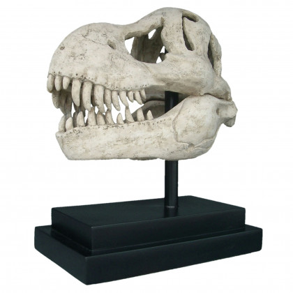 Toscano - T-Rex Dinosaur Skull Fossil Statue on Museum Mount