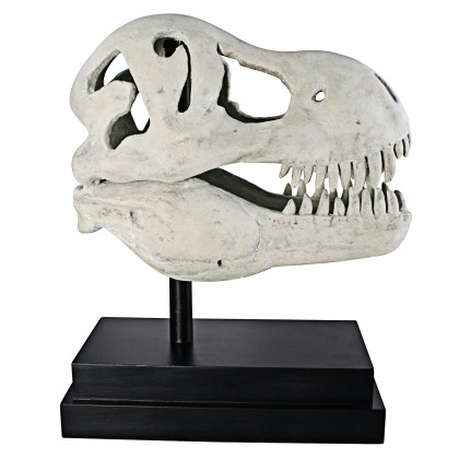 Toscano - T-Rex Dinosaur Skull Fossil Statue on Museum Mount