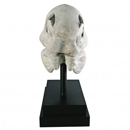 Toscano - T-Rex Dinosaur Skull Fossil Statue on Museum Mount