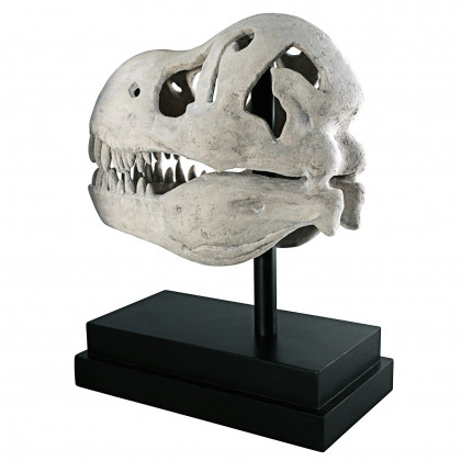 Toscano - T-Rex Dinosaur Skull Fossil Statue on Museum Mount