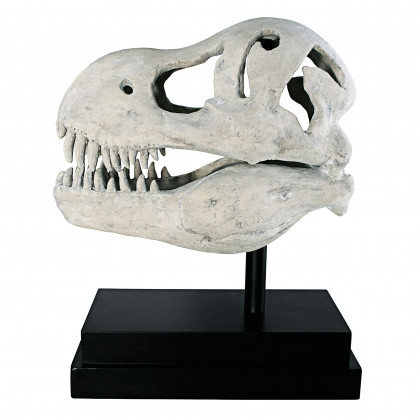 Toscano - T-Rex Dinosaur Skull Fossil Statue on Museum Mount