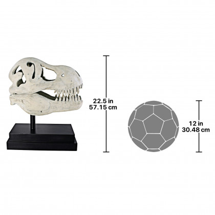 Toscano - T-Rex Dinosaur Skull Fossil Statue on Museum Mount