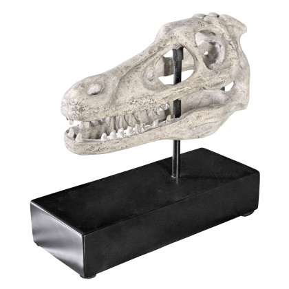 Toscano - Velociraptor Dinosaur Skull Fossil Statue on Museum Mount