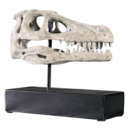 Toscano - Velociraptor Dinosaur Skull Fossil Statue on Museum Mount