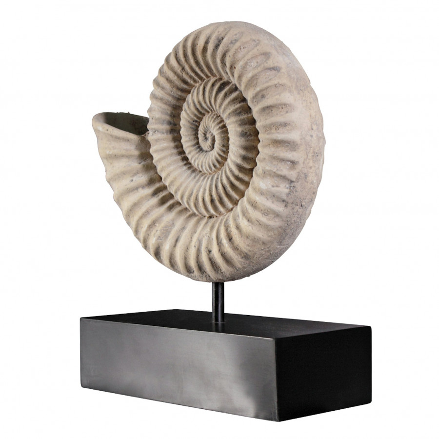 Toscano - Ammonite Fossil Statue on Museum Mount