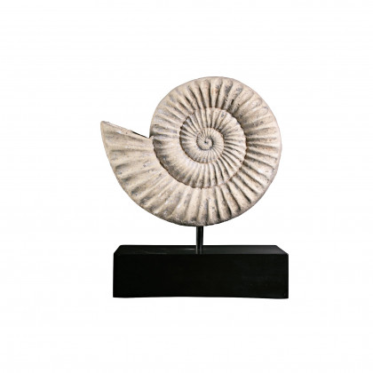 Toscano - Ammonite Fossil Statue on Museum Mount