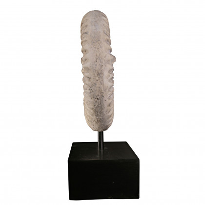 Toscano - Ammonite Fossil Statue on Museum Mount