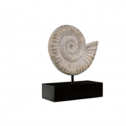 Toscano - Ammonite Fossil Statue on Museum Mount