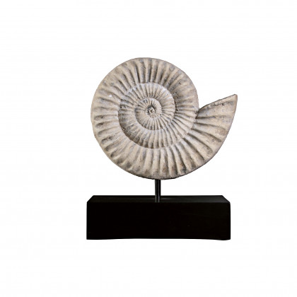 Toscano - Ammonite Fossil Statue on Museum Mount