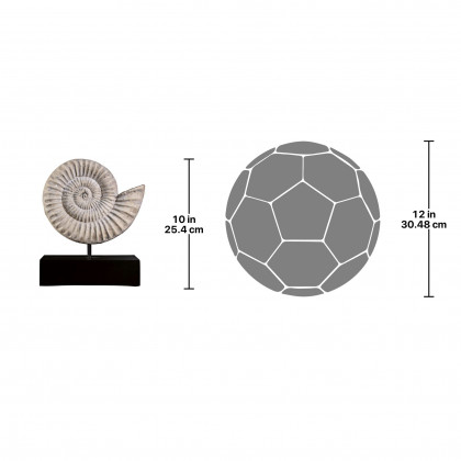 Toscano - Ammonite Fossil Statue on Museum Mount