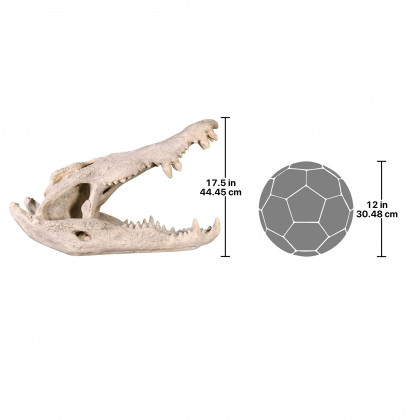 Toscano - Crocodile Skull Sculptural Artifact