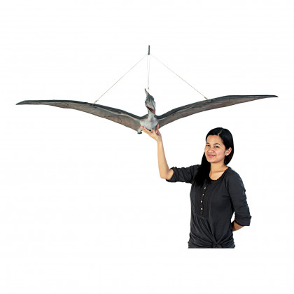 Toscano - Pteranodon Scaled Dinosaur Hanging Statue