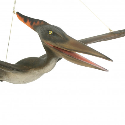 Toscano - Pteranodon Scaled Dinosaur Hanging Statue