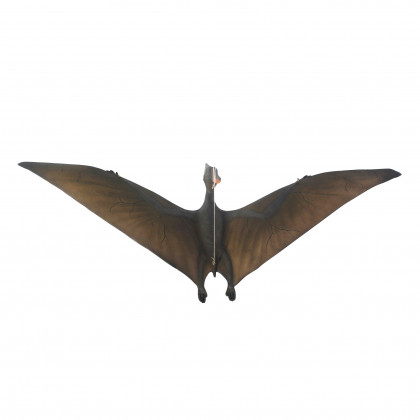 Toscano - Pteranodon Scaled Dinosaur Hanging Statue