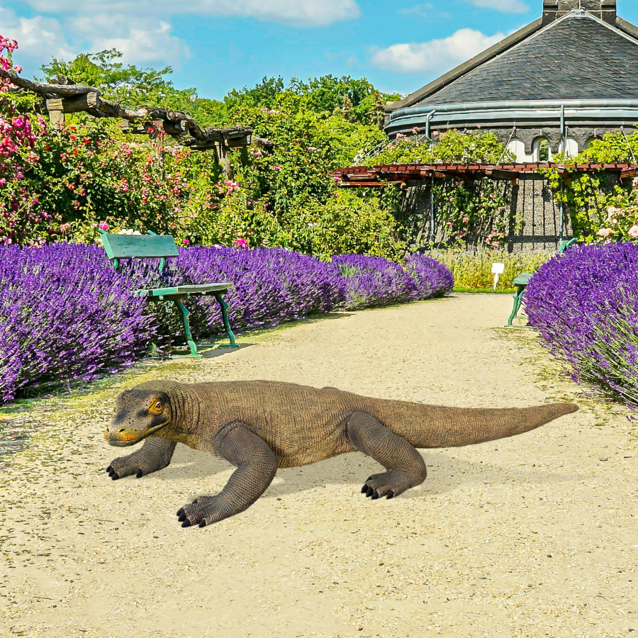 Toscano Grande-Scale Komodo Dragon Statue - Large