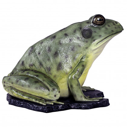 Toscano - Great Green Barred Frog Statue