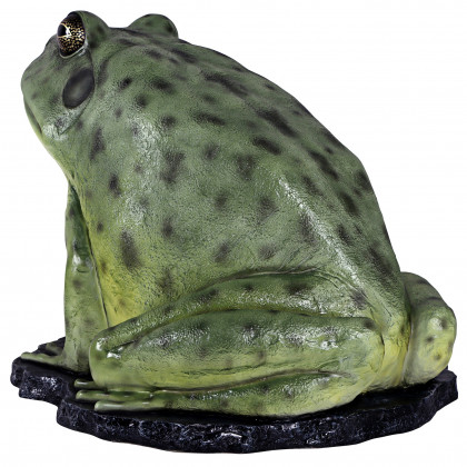 Toscano - Great Green Barred Frog Statue