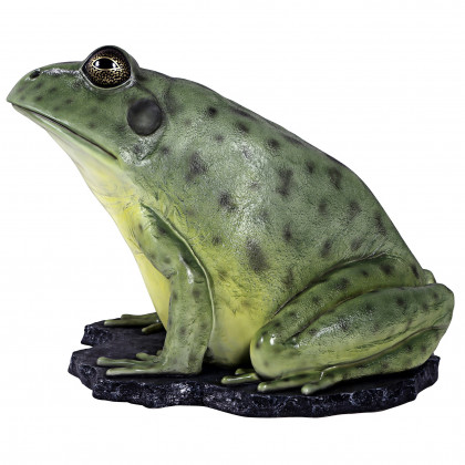 Toscano - Great Green Barred Frog Statue