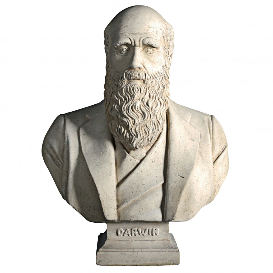 Toscano - Evolution of Charles Darwin Sculptural Bust