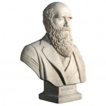 Toscano - Evolution of Charles Darwin Sculptural Bust