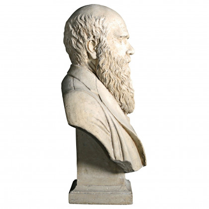 Toscano - Evolution of Charles Darwin Sculptural Bust