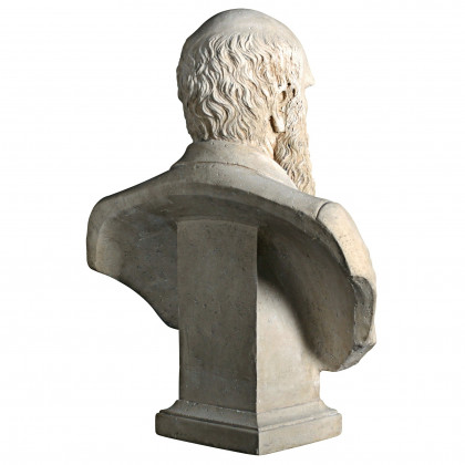 Toscano - Evolution of Charles Darwin Sculptural Bust
