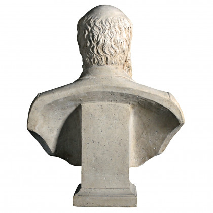 Toscano - Evolution of Charles Darwin Sculptural Bust